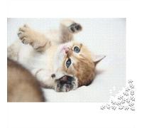 Cute Little Kitty 1000 Piece Adult Jigsaw Puzzles Cat Jigsaws Challenging Game Family Challenging Educational Games Home Decoration for Adults Gifts Ideas 1000pcs (75x50cm)