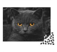 Cute Little Kitty 1000 Piece Jigsaw Puzzles for Adults Cat Festive Gifts Family Challenging Educational Games Home Decoration for Adults Gifts Ideas 1000pcs (75x50cm)