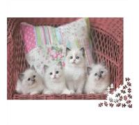 Cute Little Kitty 1000 Pieces Jigsaw Puzzles for Adults Cat Jigsaws Challenging Game Family Challenging Educational Challenge Home Decoration for Adults Gifts Ideas 1000pcs (75x50cm)