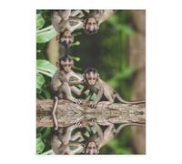 Cute Little Monkeys Crystal Sticker, 3D Stereoscopic Effect, Pattern Does Not Fall Off When Exposed to Water