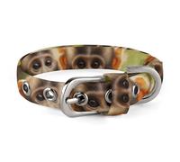 Cute Little Monkeys Dog Collar, Soft Comfortable Pet Collar for Small & Medium Dogs, Adjustable Durable Cat Collars for Puppies