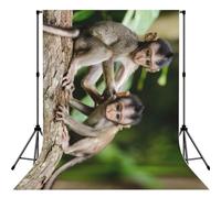 Cute Little Monkeys Print Photo Studio Background 5x7ft Soft Photo Backdrop Curtain For Studio Content Creator Equipment