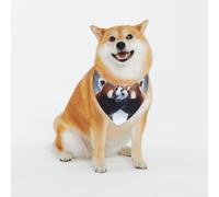 Cute Little Panda Dog Bandanas - Adjustable Pet Scarf, for Small to Large Dog Puppy Cat, Black