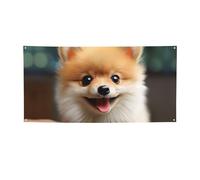 Cute Little Pomeranian Banner Party Decor Backdrop Flag Birthday Party Photography Background Decoration Banners and Signs Wall Decor Banner Partysupplies Favors 71 x 47 Inch Small