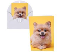 Cute Little Pomeranian Print Thank You Cards Greeting Cards With Envelopes Blank Note Cards 10x15 cm Perfect for Thank Yous Invitations