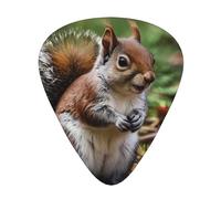 Cute little squirrel guitar pick set, 3 different thicknesses, 12 pieces for a variety of instruments