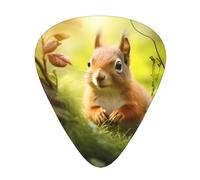 Cute Little Squirrel Wzywhj Prints Abs Guitar Picks 12 Piece, Easy Grip Uke Picks For Your Bass, Ukulele, Acoustic Or Electric Guitar