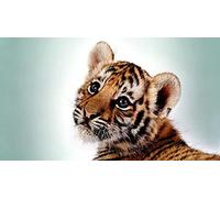 Cute Little Tiger Pattern Puzzle,Adult Puzzle,Paper Puzzle,2000 Piece Puzzle for Adults70x100cm