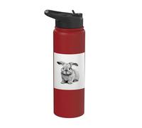 Cute Lop Eared Bunny Rabbit Stainless Steel Insulated Water Bottle