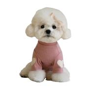 Cute 'Love' Dog Clothes, Warm Fleece Base Layer Shirt for Yorkshire Terrier Cat, Cuddly Winter Puppy Clothing with Teddy Design(Pink,M)