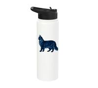 Cute Maine Coon Cat Lover Kitten Pet Owner Mom Dad Stainless Steel Insulated Water Bottle