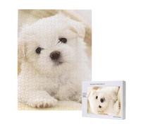 Cute Maltese Puppy,500 Pieces Wooden Jigsaw Family Game Jigsaw Puzzles for Adults Teens