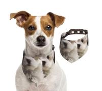 Cute Maltese Puppy Dog Bandanas,Summer Bandanas for Dogs Washable Adjustable Dog Triangle Scarf Bibs Cute Pet Bibs for Medium Large Dogs Puppy and Cats Medium
