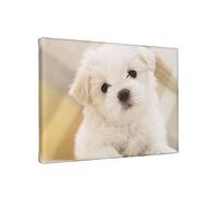 Cute Maltese Puppy Frameless Painting 20x30 (Horizontal) Home Living Room Canvas Wall Decoration Painting
