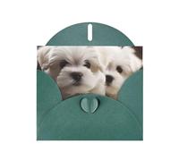 Cute Maltese Puppy Greeting Cards Blank Note Cards with Envelopes Happy Birthday Card Thank You Card Wedding Party Invitation Cards for All Occasions 4x6 Inch