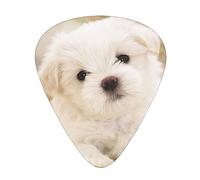Cute Maltese Puppy Guitar Paddle 12 Pack Guitar Pickup Suitable For Playing Acoustic Guitars, Electric Guitars, Etc.