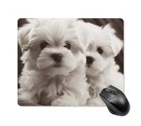 Cute Maltese Puppy Square Mouse Pad Portable Computer Mousepad with Non-Slip Rubber Base 18 * 22cm Ultra-Thin Gaming Mouse Mat for Computer Laptop Office Desk Accessories