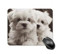 Cute Maltese Puppy Square Mouse Pad Portable Computer Mousepad with Non-Slip Rubber Base 20 * 25cm Ultra-Thin Gaming Mouse Mat for Computer Laptop Office Desk Accessories