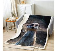 Cute Meerkat Fleece Single Blanket Super Soft Cozy 3D Wild Animals Sherpa Blanket Kids Women Adults Lovely Animals Plush Blanket Funny Meerkat Printed Fuzzy Blanket Sofa Bed Couch(30x40 Inches)