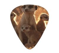 Cute Meerkats,12 Pcs Guitar Pick,3 Different Thickness Plectrums for Acoustic Guitar Bass Ukulele (0.46mm 0.96mm 0.71mm)
