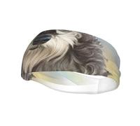 Cute Mini Schnauzer PrintHair Bands for Men Woman Headband Running Headband Sweat Wicking Gym