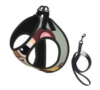 Cute Monkey printing Puppy Harness, Dog Harness and Leash Set, Soft Mesh Reflective Breathable Lightweight Vest-Style
