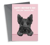Cute Mother’s Day Card - Scottish Terrier - From The Dog