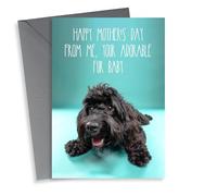 Cute Mothers Day Card - From The Dog - Cockapoo - Happy Mother's Day From Me Your Adorable Fur Baby