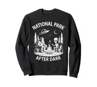 Cute NATIONAL PARK AFTER DARK Alien Campsite Director Sweatshirt