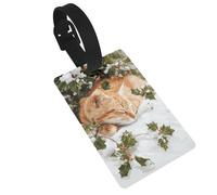 Cute Orange Cat Sleeping in The Snow Holly Mistletoe Luggage Tags Name Id Label Suitcase Tags, Ideal for Travel Cruise Backpacks Bag