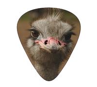 Cute Ostrich High-Quality, Wear-Resistant And Tough Guitar Picks Give You A Different Musical Experience