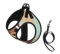 cute otter print Dog Harness, 2X Buckle,Dog Vest,No Pulling Front Leash Clip,for Small Medium Dogs