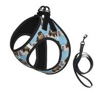 Cute Otter Print Dog Harness Small Sized And Leash Set, Step In Soft Light Puppy Vest Breathable Mesh Pet Harness