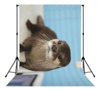 Cute Otter Print Photo Studio Background 5x7ft Soft Photo Backdrop Curtain For Studio Content Creator Equipment