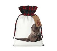 Cute Otter Print Reusable Gift Bags with Drawstring – Xmas Holiday Party Favors Pouches for Christmas, Birthdays