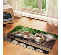 Cute Otter Printed Pet Bowl Mats, Non-Slip And Tasteless Dog And Cat Feeding Mats