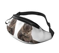 Cute Otter Waist Bag Bumbags for Men Women, Print Polyester Waist Pack for Travel Walking Sport with Adjustable Strap