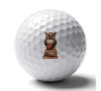 Cute Owl And Books Custom Golf Ball Soft Practice Golf Balls Performance Distance And Speed for Indoor Outdoor