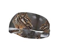 Cute owl Basketball Fitness Elastic Headband, Unisex Sports Headband, Sports Running Cycling Yoga Sweat-Absorbent Band,