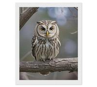 Cute Owl Diamond Painting Kits for Adults, DIY 5D Diamond Painting Kits for Beginners, Round Full Drill Diamond Dots Paintings, Diamonds Pictures Gem Art for Crafts Home Decor 16"x20"