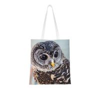 Cute Owl Fashion Canvas Tote Bag With All Over Print Design, Large Reusable Shopper Tote With Double Handles,Beach Tote, Weekend Bag