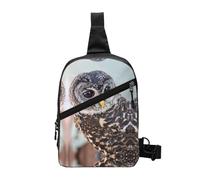 Cute Owl Foldable Chest Sling Bag,Water-Resistant Lightweight Crossbody Pack For Travel Hiking Daily Use,Adjustable Strap Dual Zipper Pockets