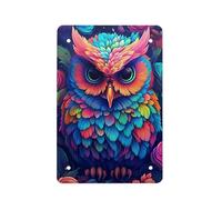 Cute Owl Print Colorful Graffiti Painting Animal Retro Poster Vintage Metal Tin Signs for Men Women Wall Art Decor for Home Bars Clubs Cafes Decoration