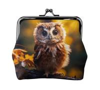 Cute Owl print Small Pouch Kiss Lock Coin Purse for Women Coin Change Purse, Credit Card Wallet