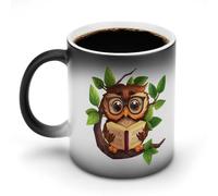 Cute Owl Reads Book Color Changing Mug Ceramic Heat Sensitive Cup for Men Women Gifts