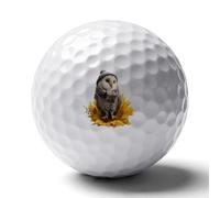 Cute Owl Sitting on Sunflower Novelty Golf Ball Personalised Printed Practice Balls Gifts for Men Women Golfers Father's Day