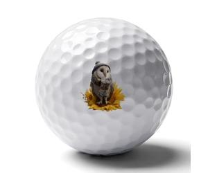 Cute Owl Sitting on Sunflower Novelty Golf Ball Personalised Printed Practice Balls Gifts for Men Women Golfers Father's Day