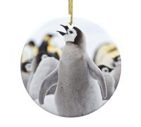 Cute Penguin Animal Pattern Print Christmas Ornaments Couple Gifts For Him Her Christmas Tree Decoration Ceramic Hanging Ornament Anniversary