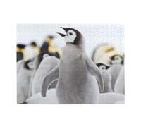 Cute Penguin Animal Pattern Printed,500 Pieces Puzzles for Adults-Wooden Jigsaw Puzzle for Adults Elderly