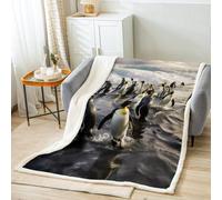 Cute Penguin Fleece Throw Blanket for Sofa Couch Bed Funny Animal Printed Plush Blanket Decorative Lovely Polar Animal Pattern Sherpa Blanket Sea Printed Fuzzy Blanket King 87x95 Inch